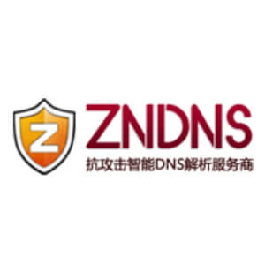 ZnDNS