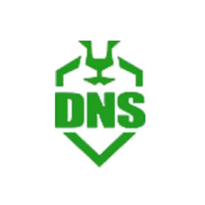 dns盾