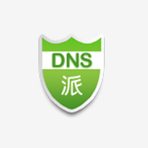 DNS派