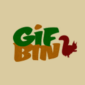 Gifbin