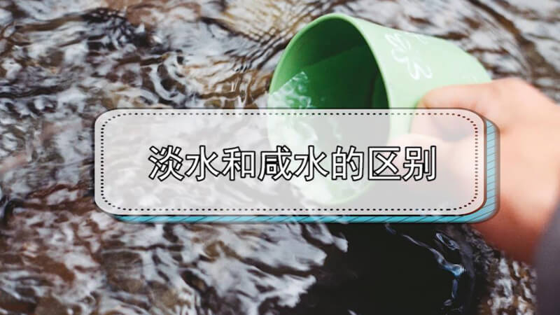 淡水和海水的区别