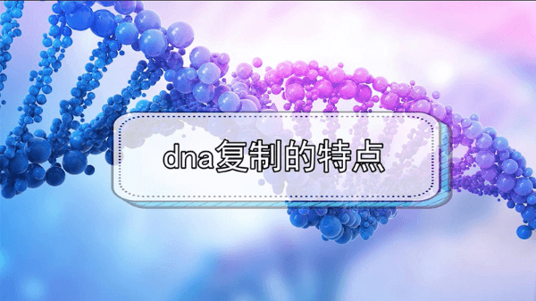 dna复制的特点是