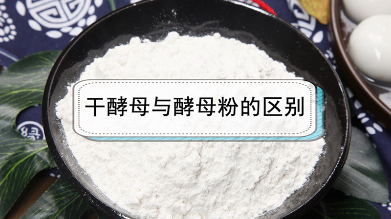 干酵母与酵母粉的区别