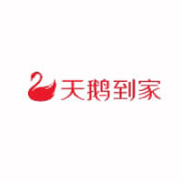 天鹅到家